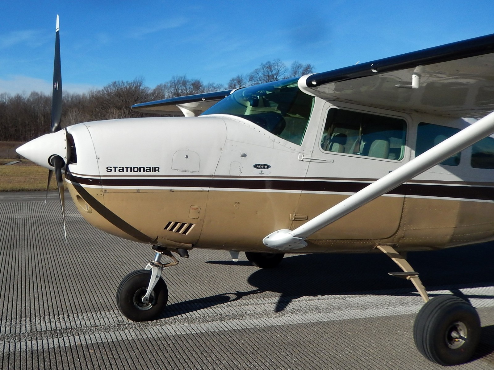 Cessna U206F - N206AA