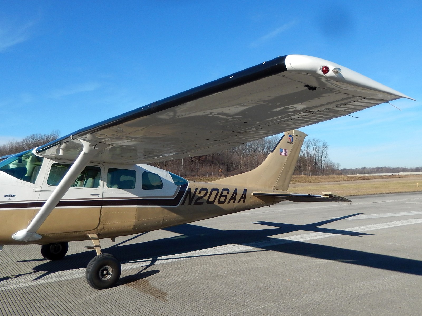 Cessna U206F - N206AA