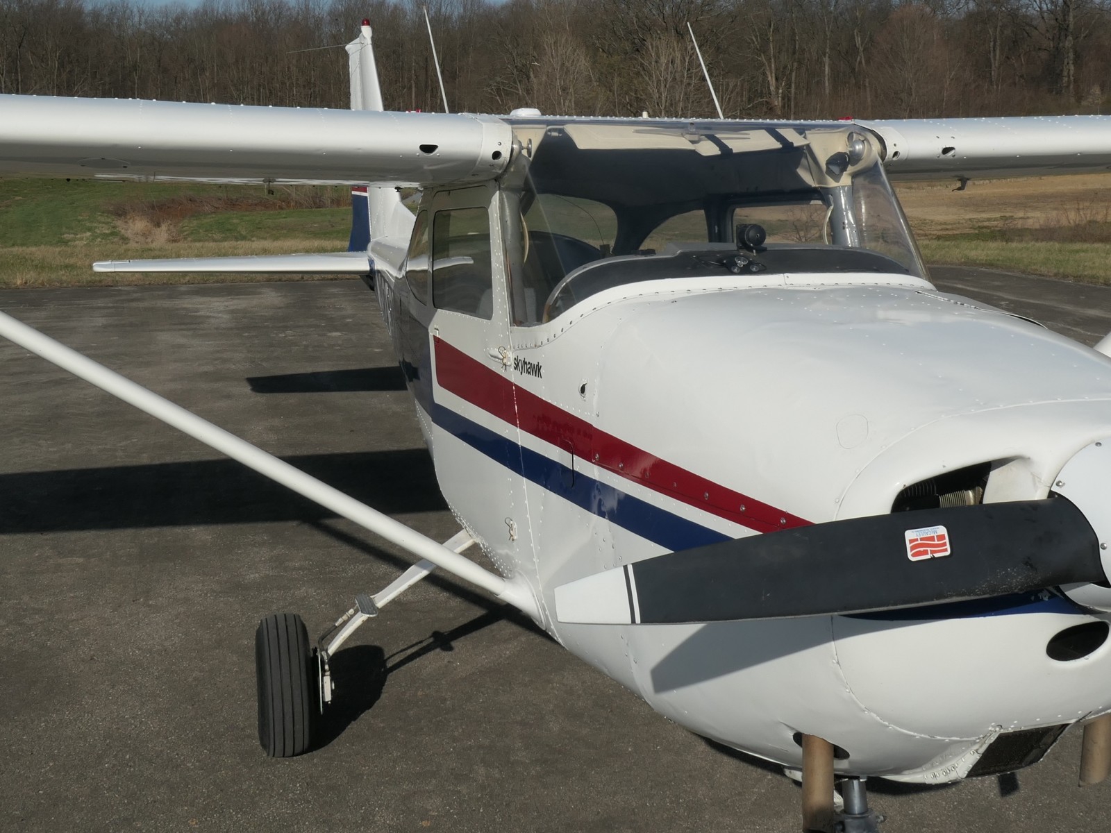 Cessna 172 - N8262L