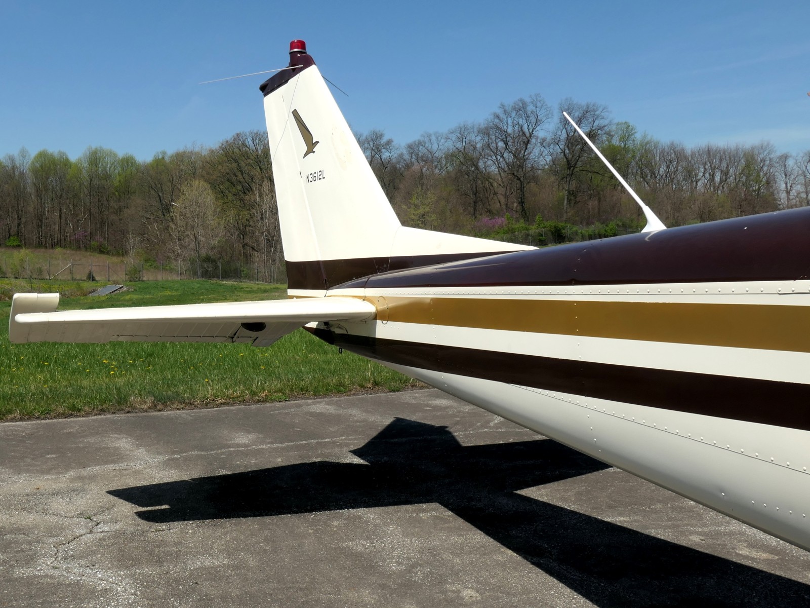 Cessna 172G - N3612L