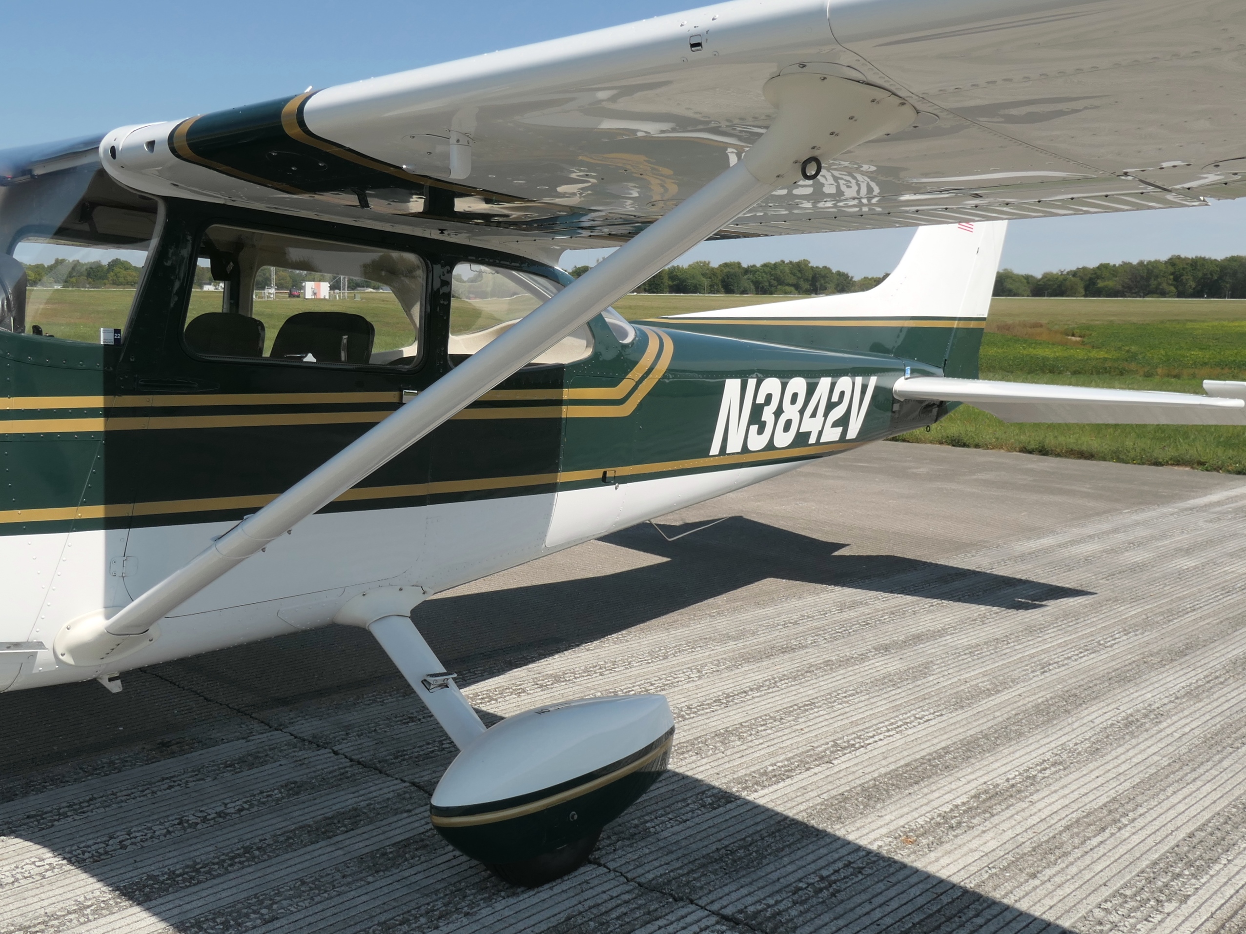 Cessna 172M - N3842V