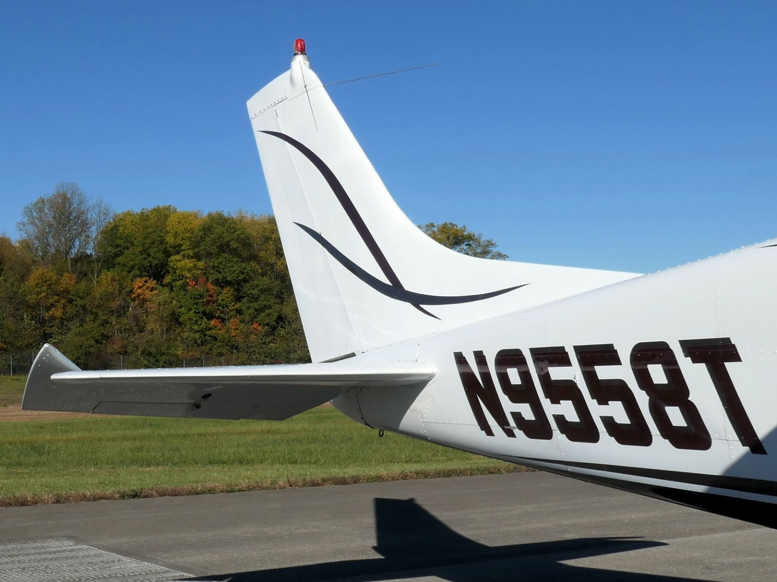 Cessna 210 - N9558T