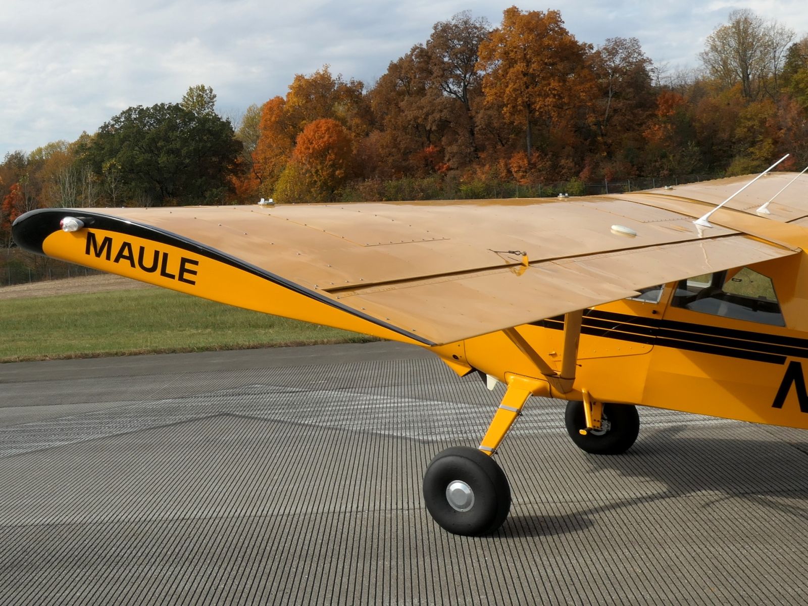 Maule MXX-7 - 180AC - N5515S